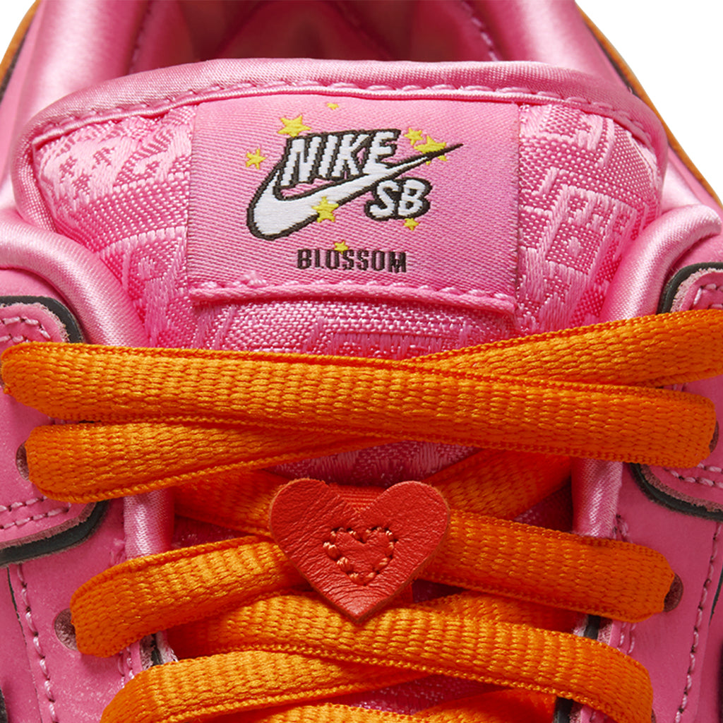 Nike Dunk SB Pro x Powerpuff Girls "Blossom"